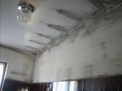 Mold inside a bathroom, caused by low surface temperatures and lack of ventilation. - photo by Damiano Chiarini.